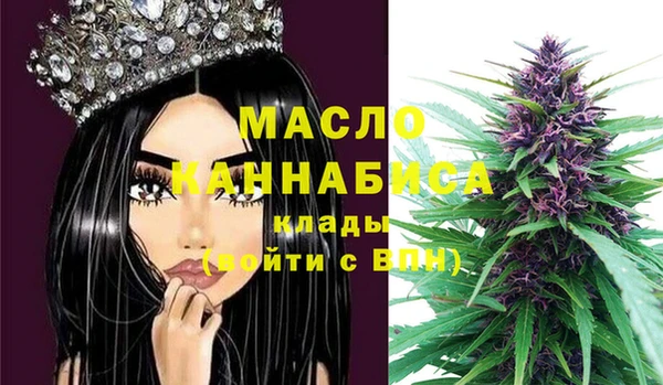 мдпв Бородино