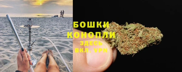 мдпв Бородино