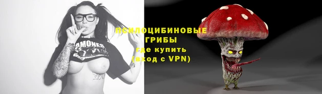 кокаин колумбия Богданович