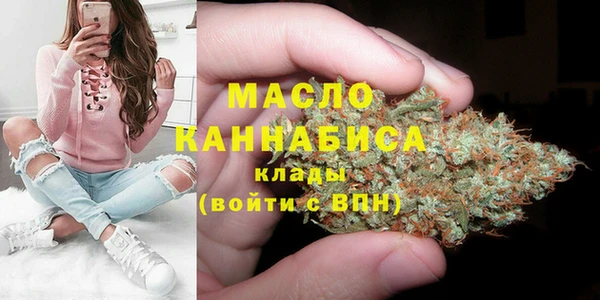 мдпв Бородино