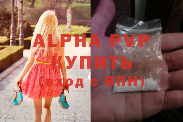 мдпв Бородино