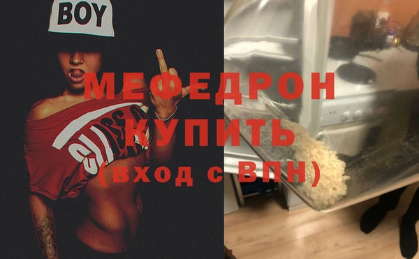 мдпв Бородино